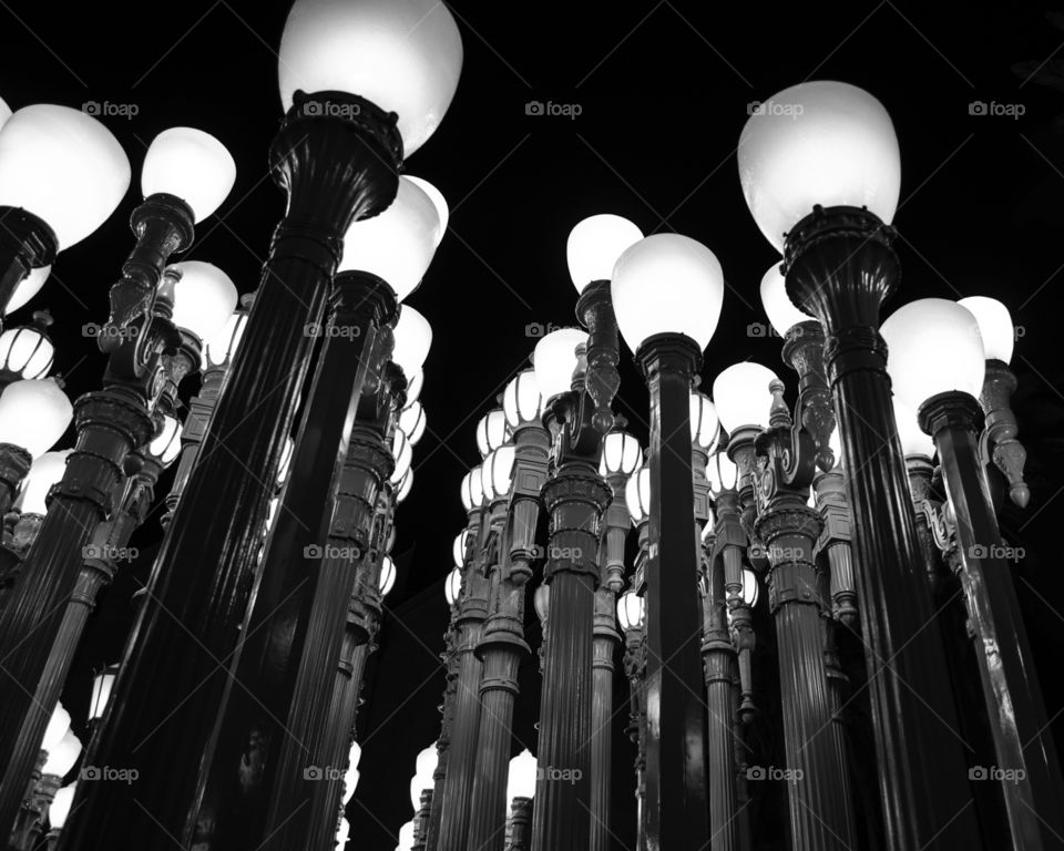 Lighted path. Lacma lights from a different perspective