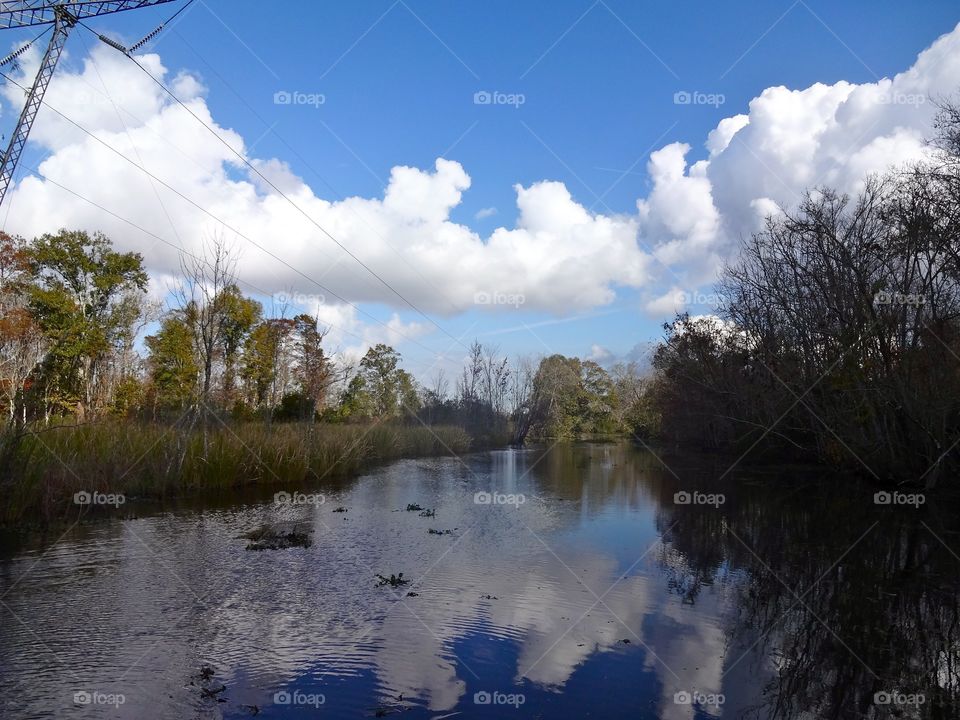 Bayou in New Orleans 