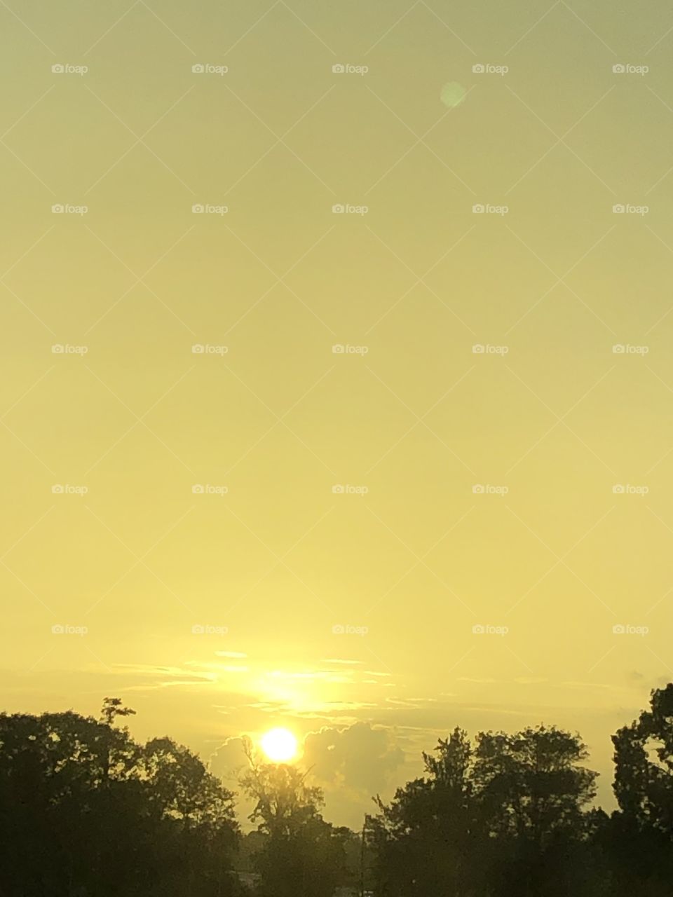 A golden summer sunset in the sky casting a beautiful yellow glow in the Louisiana summer sky. 