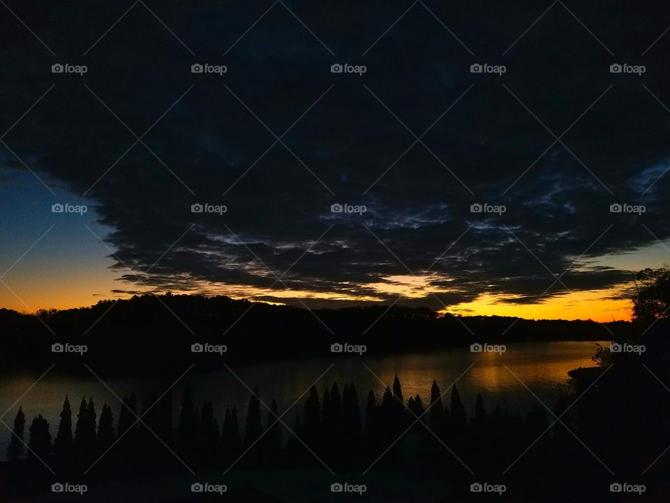 clouds forming a tree in the backdrop of a sunset