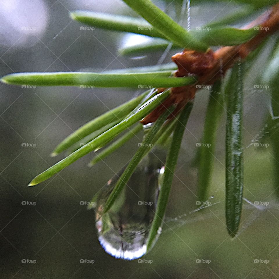 Waterdrops 