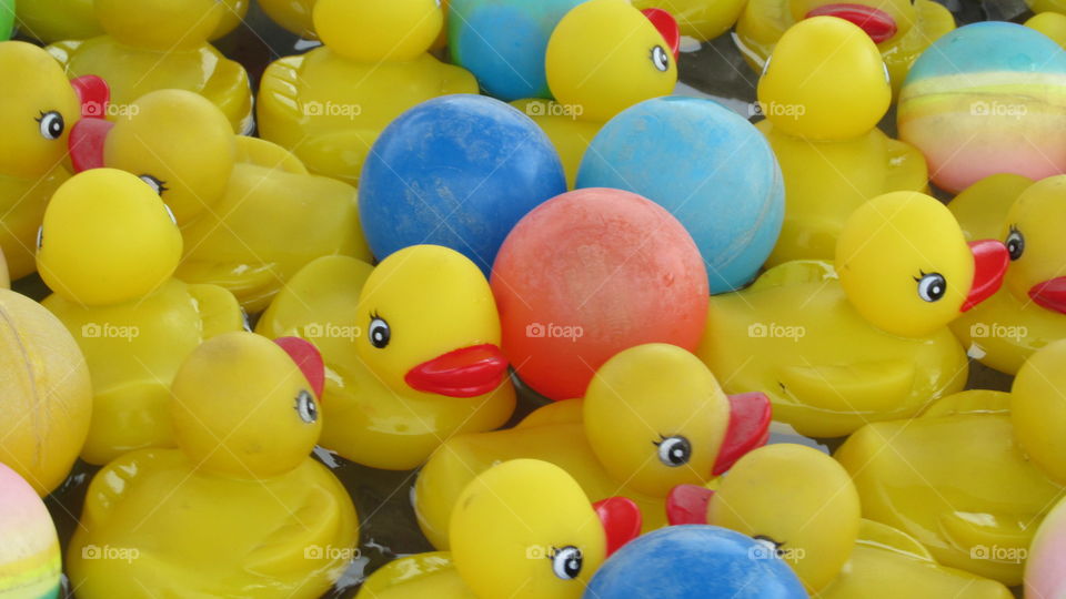 rubber ducks