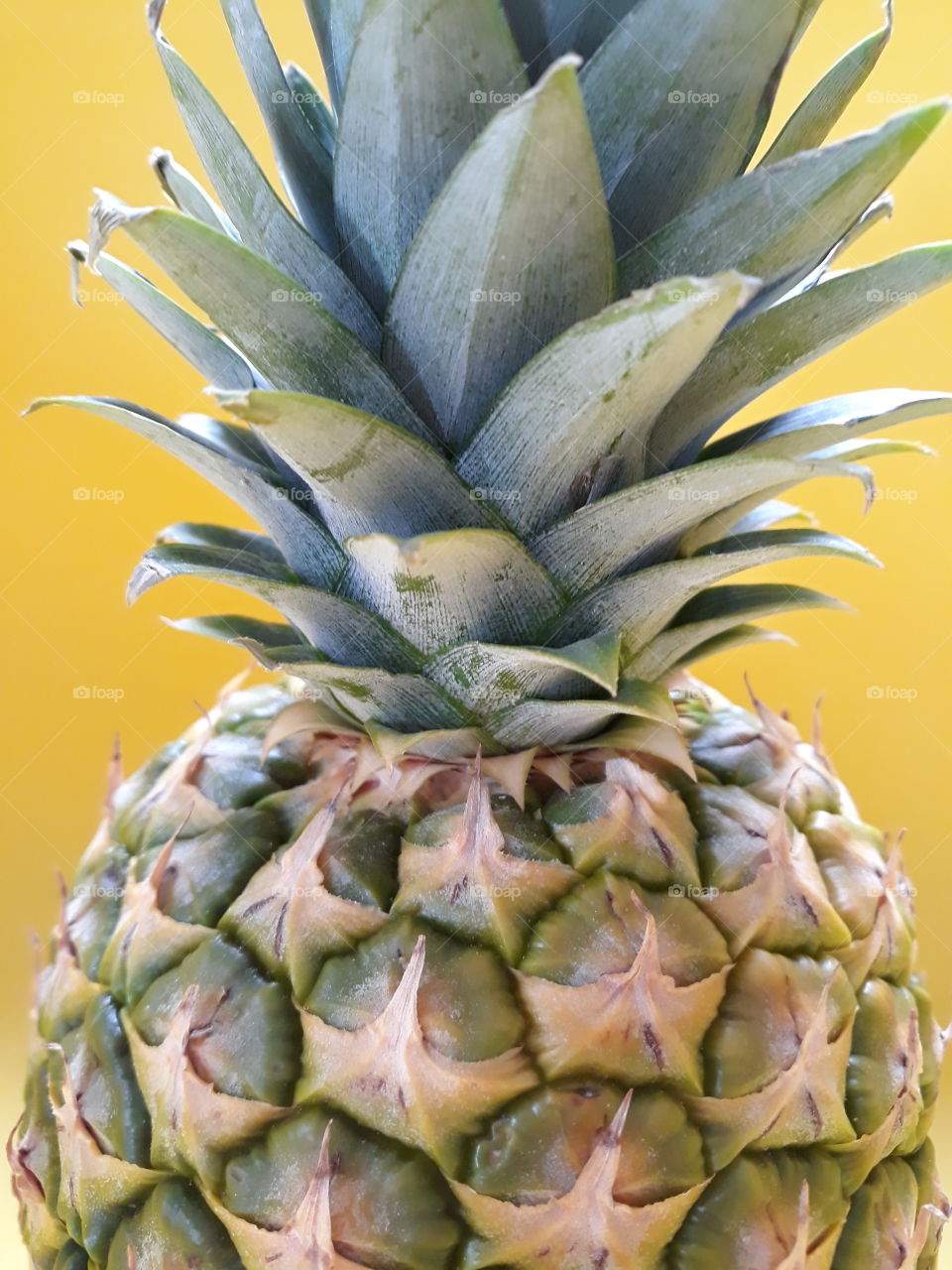 Pineapple close-up on bright yellow background