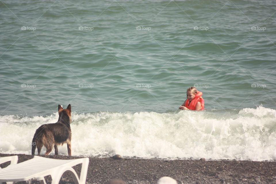 German Shepard playing with girl in the sea  