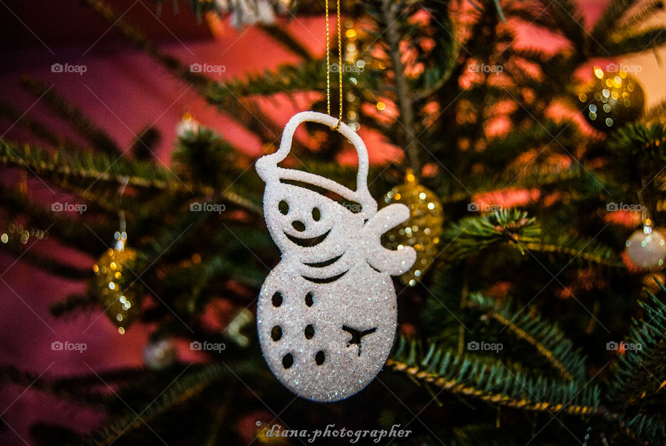 Christmas, Winter, Decoration, Celebration, Pine
