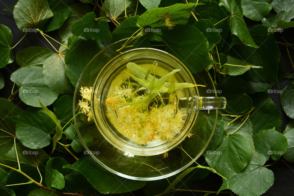 Green tea with green leaves