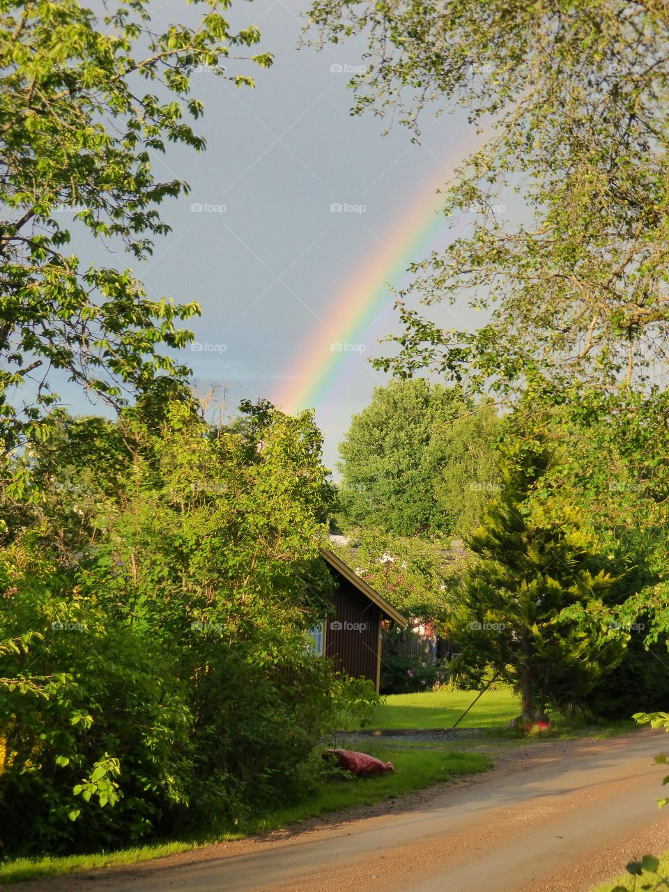 Rainbow over red cottage