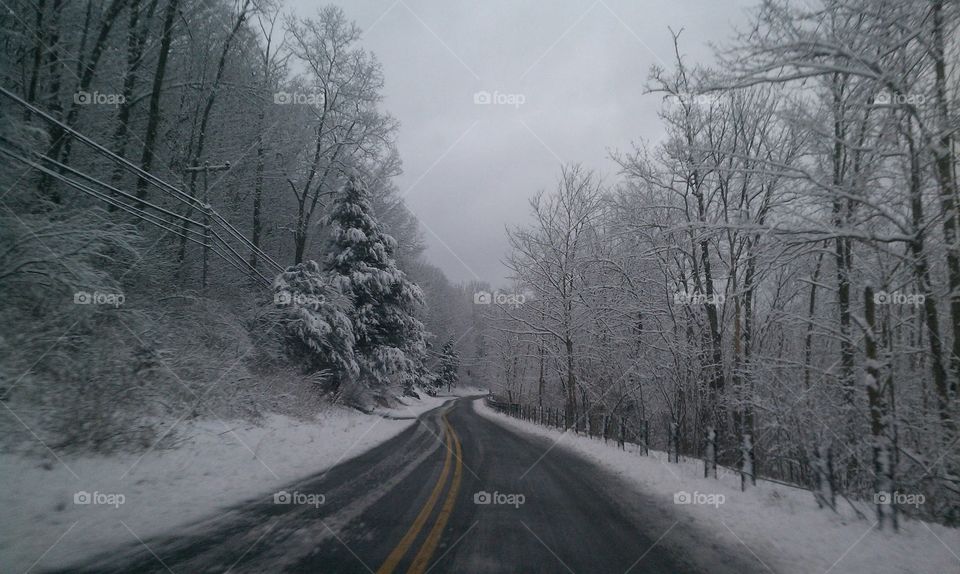 winter wonderland. on my way to work