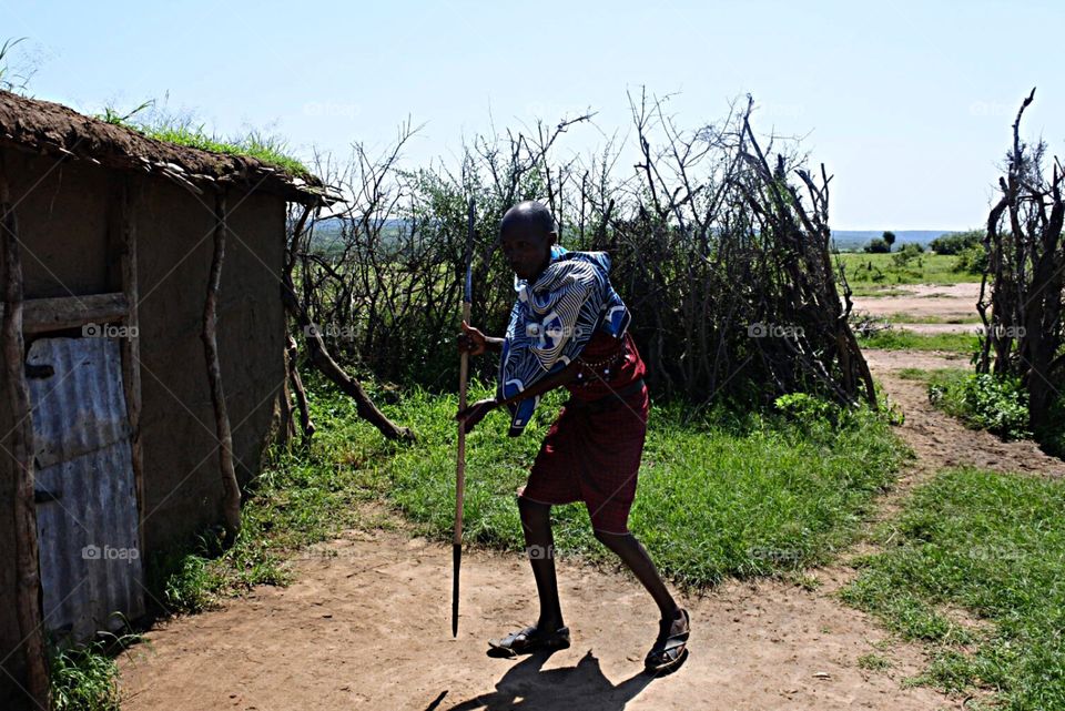 Chief. Masai chief demonstrating spear techniques.