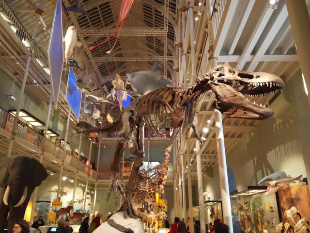 Museo Nacional de Escocia.

National Museum of Scotland