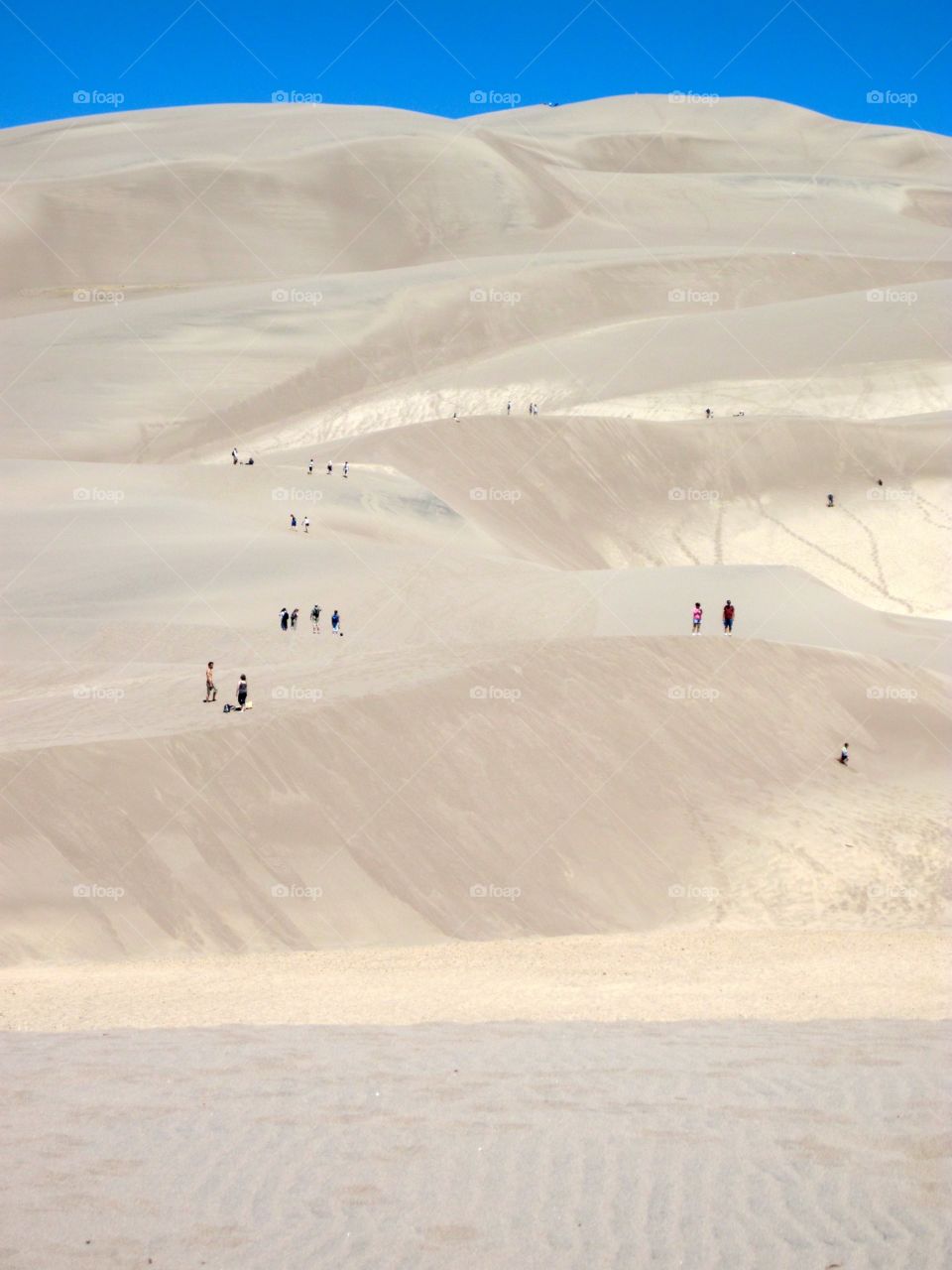 Sand dune waves 