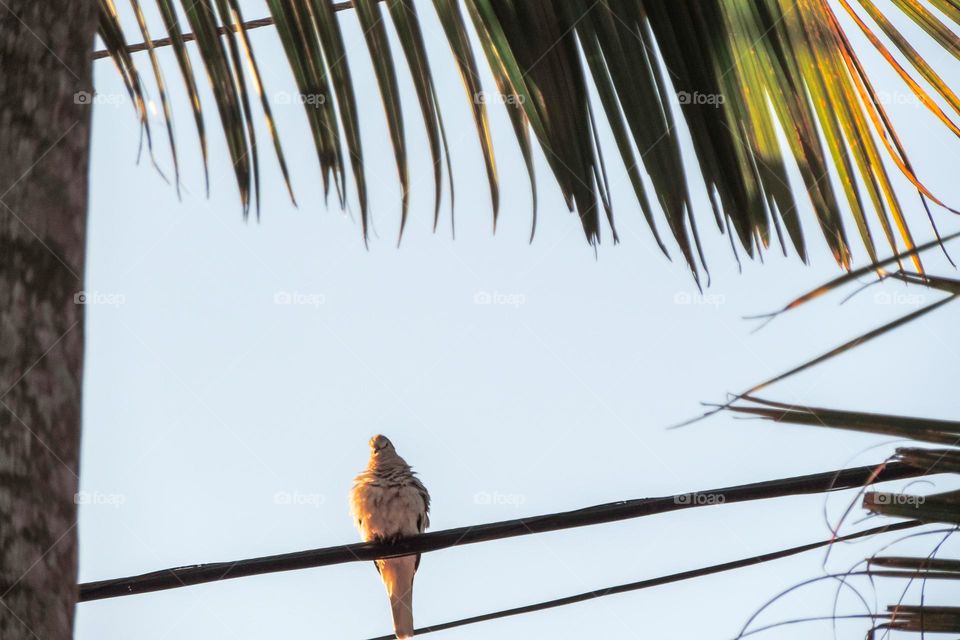 Se esquentando no sol de inverno