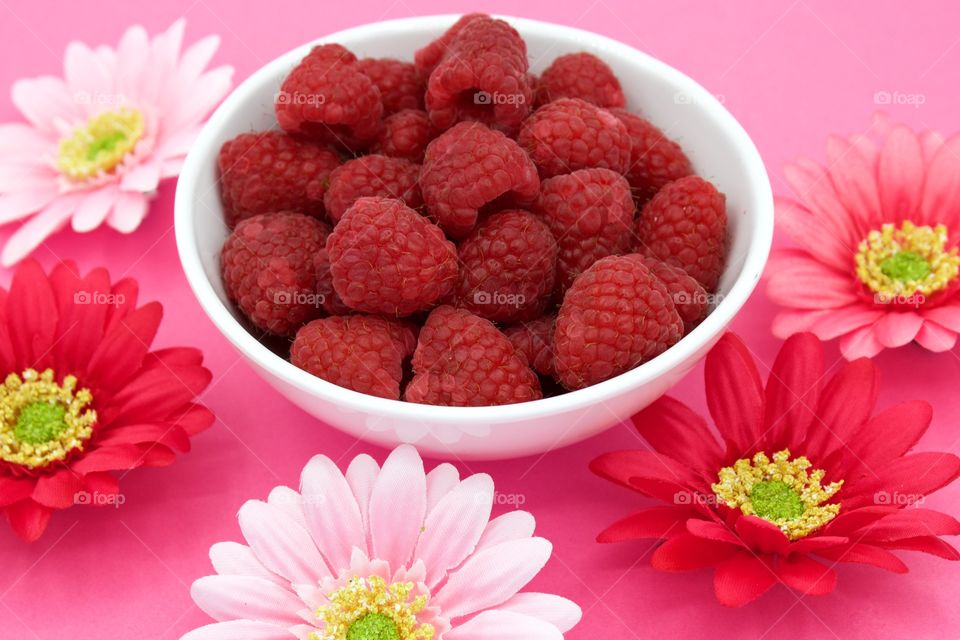Raspberries and gerbera daisies in various shades of pink in a pink background