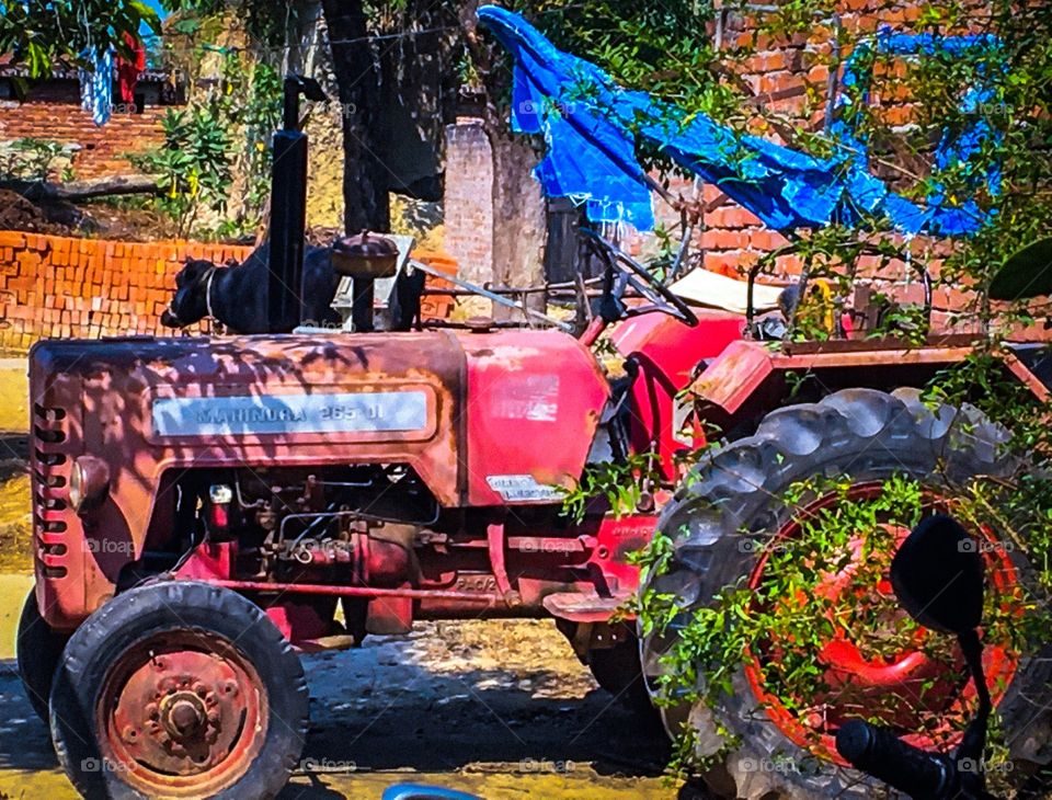 Retired tractor in front of a house