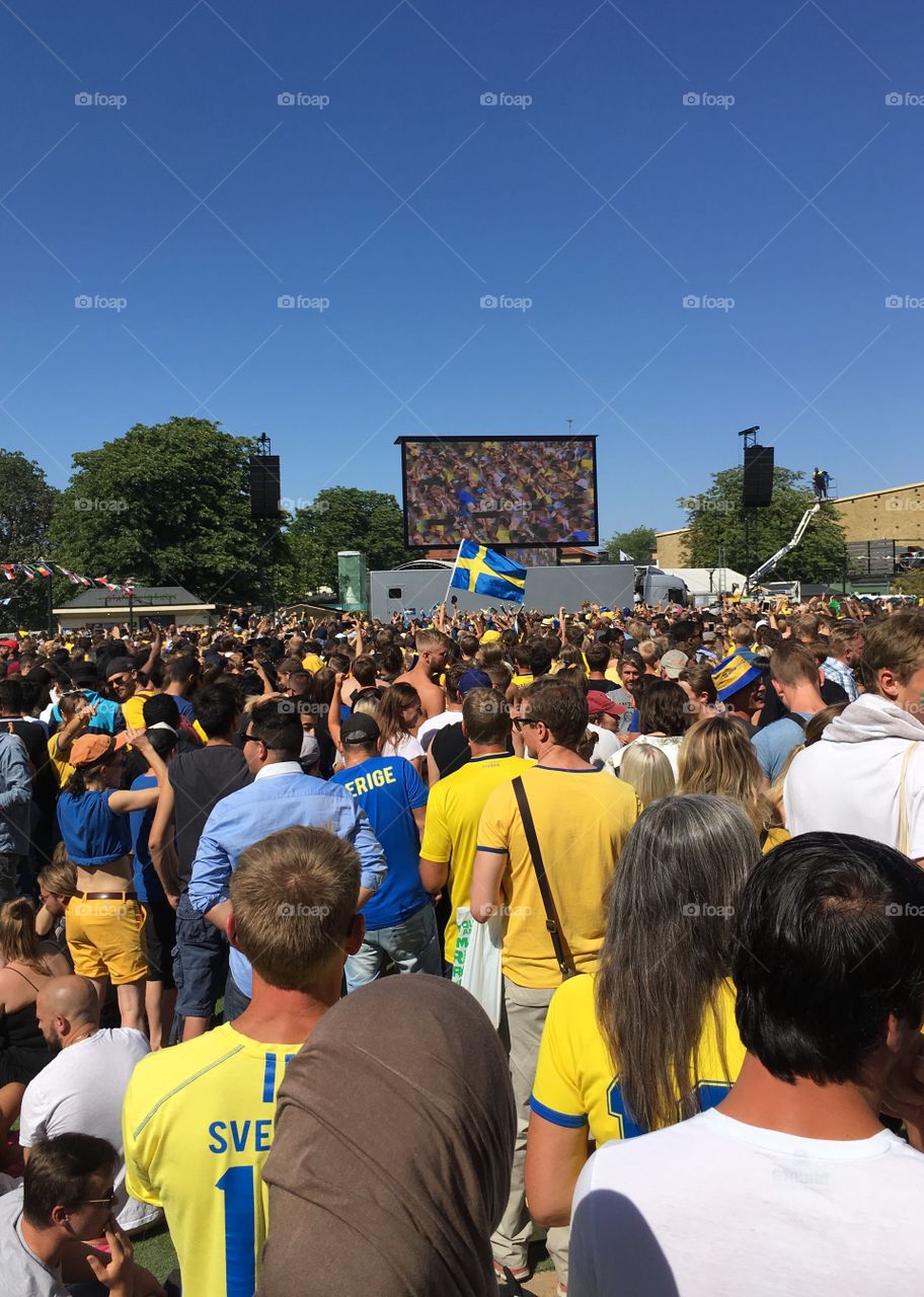 Sweden world cup football