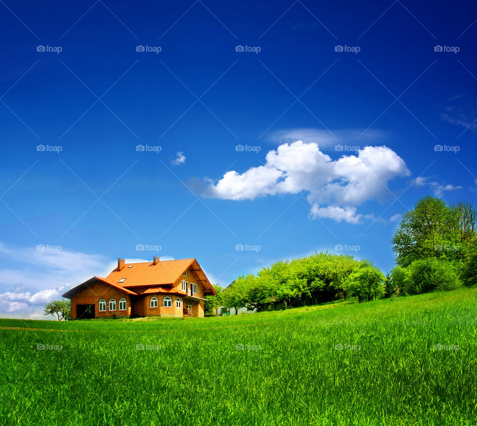 House, Grass, Family, Lawn, Rural