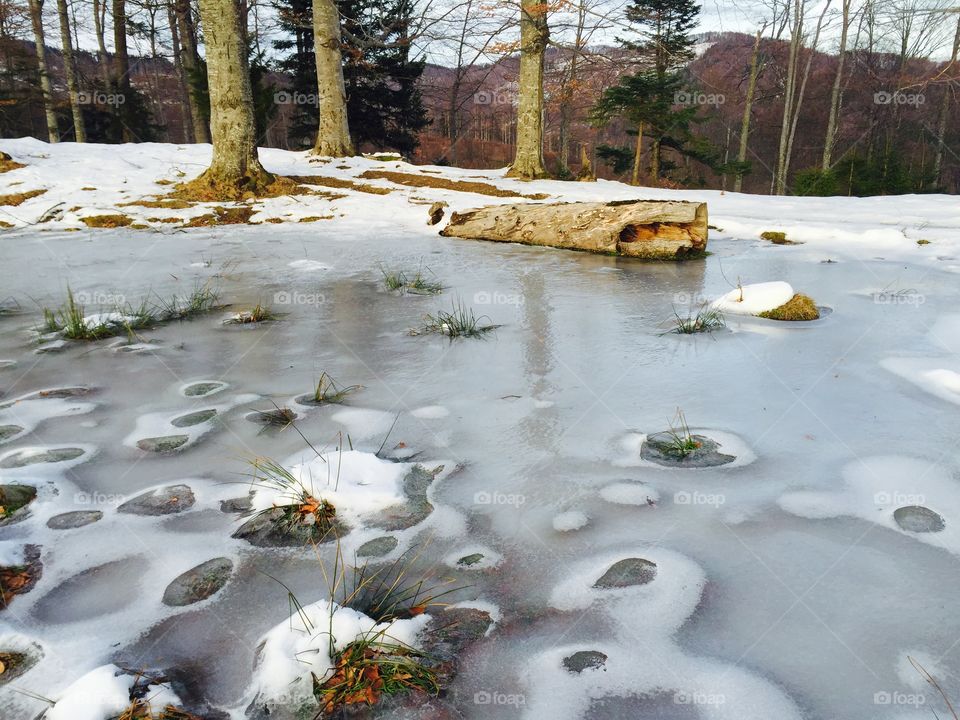 Log on frozen lake