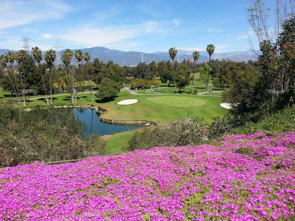 California Country Club. The view