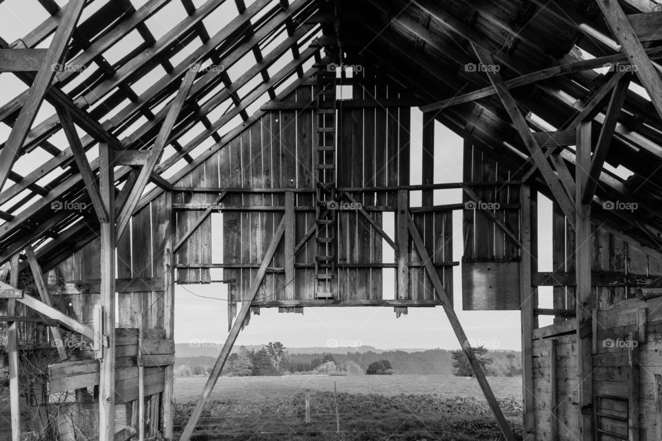 Barn. An abandoned barn in the country. 