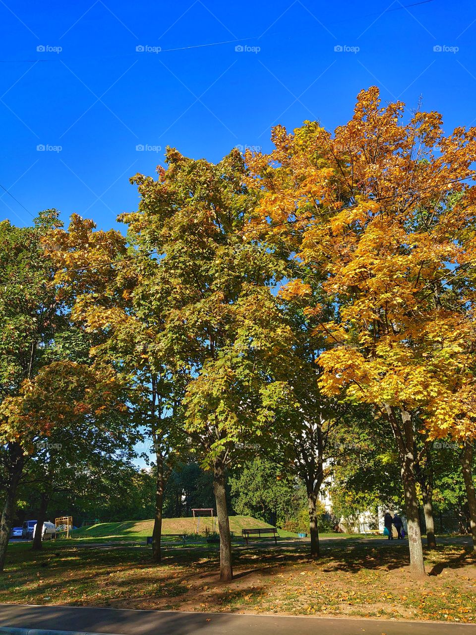 October, autumn time, autumn moods