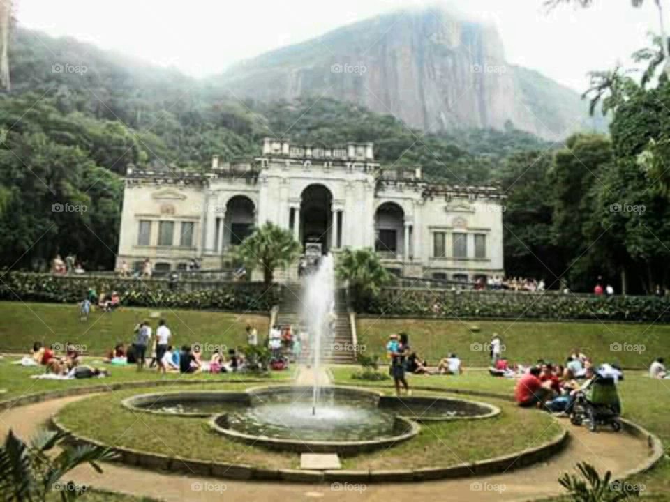 Parque Laga in the Tijuca Rainforest