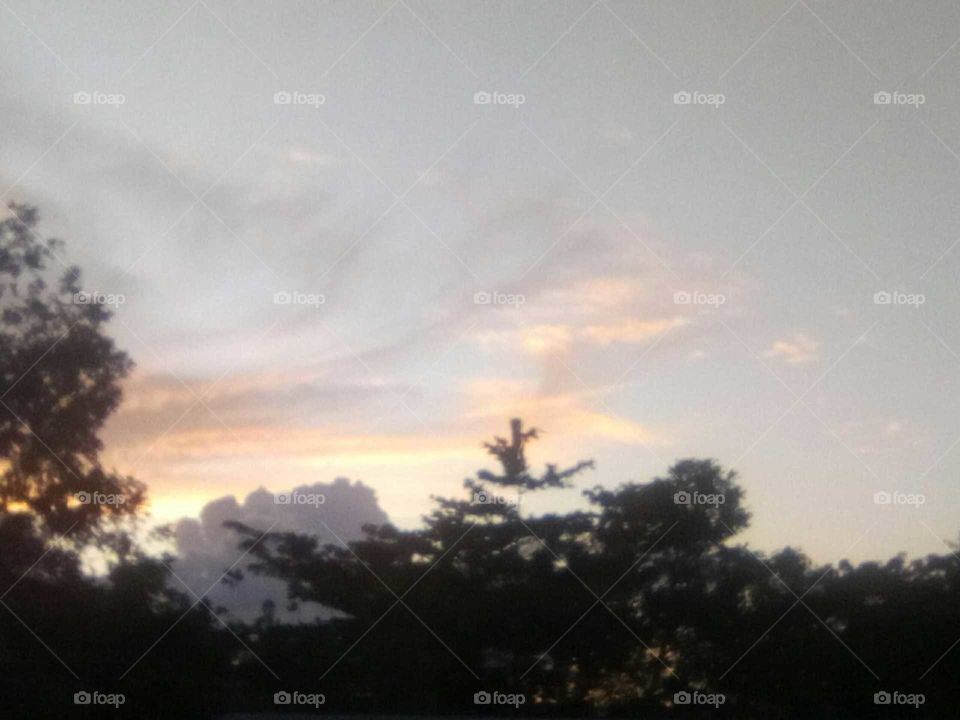 the evening is coming down you can see darkness in the trees but just take a look up in the sky all beautiful colors in the sky I just love it.