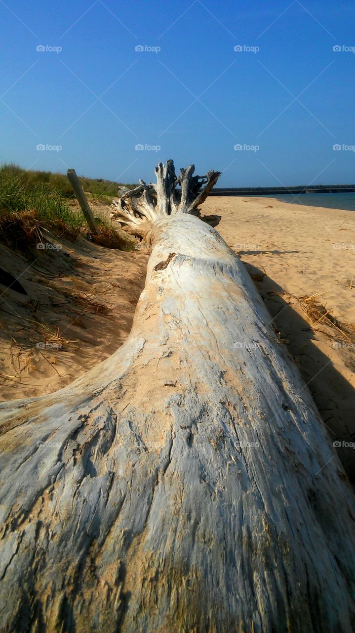 No Person, Nature, Water, Sand, Beach