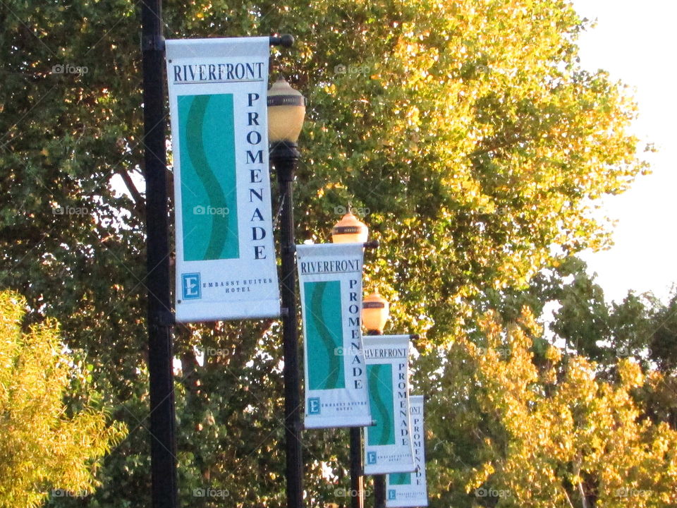 Riverfront lampposts