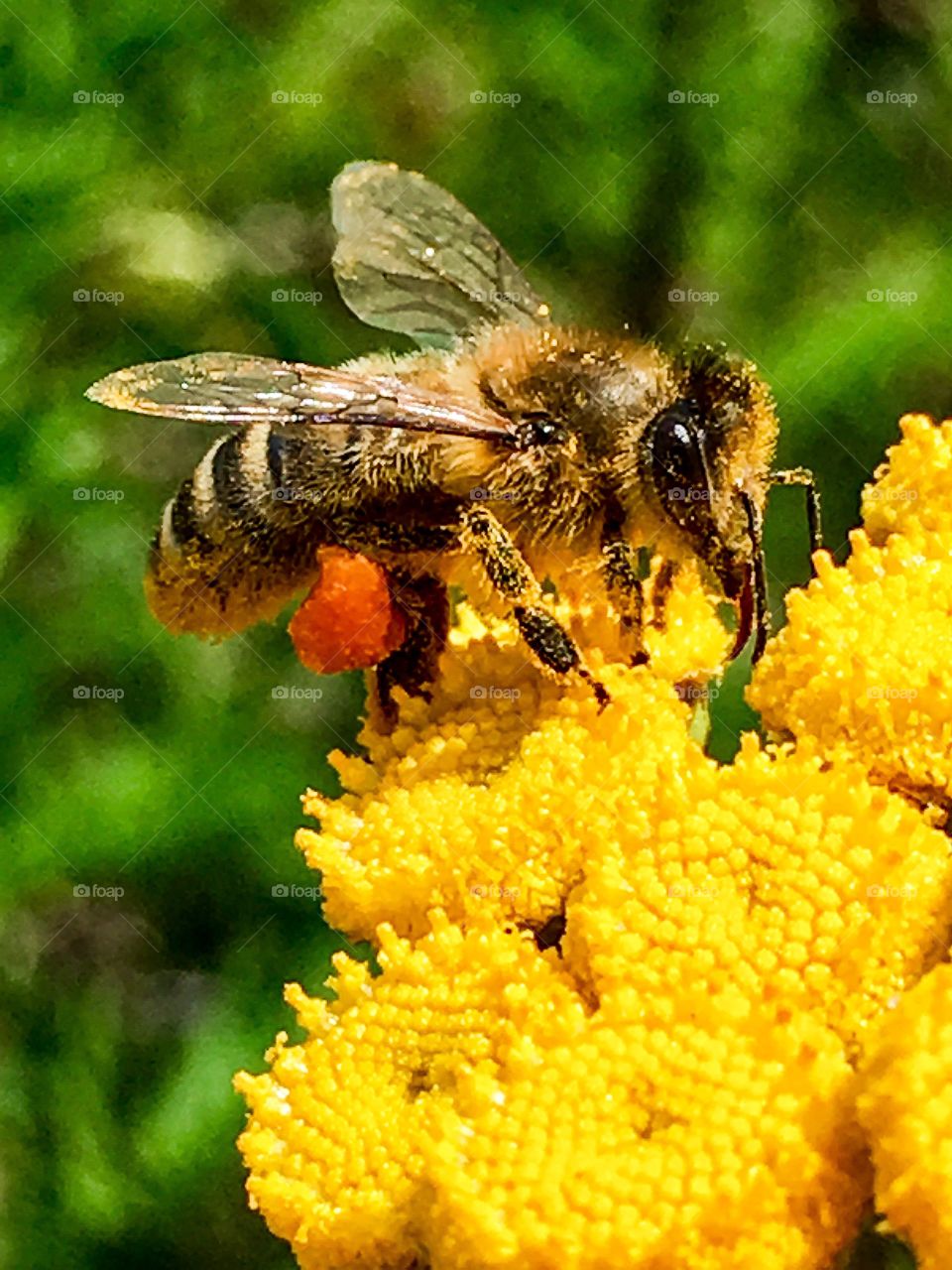 All in a Day’s Work 