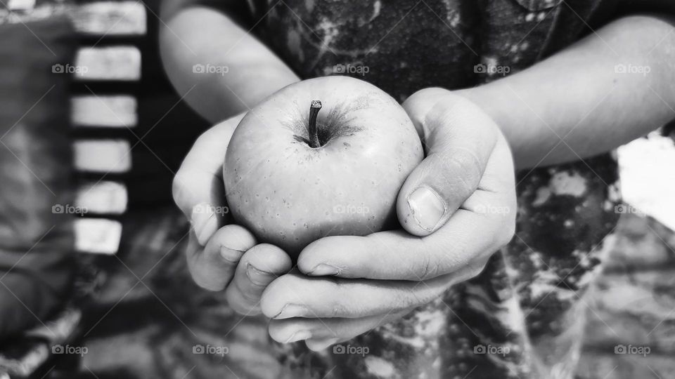 Apple in hands