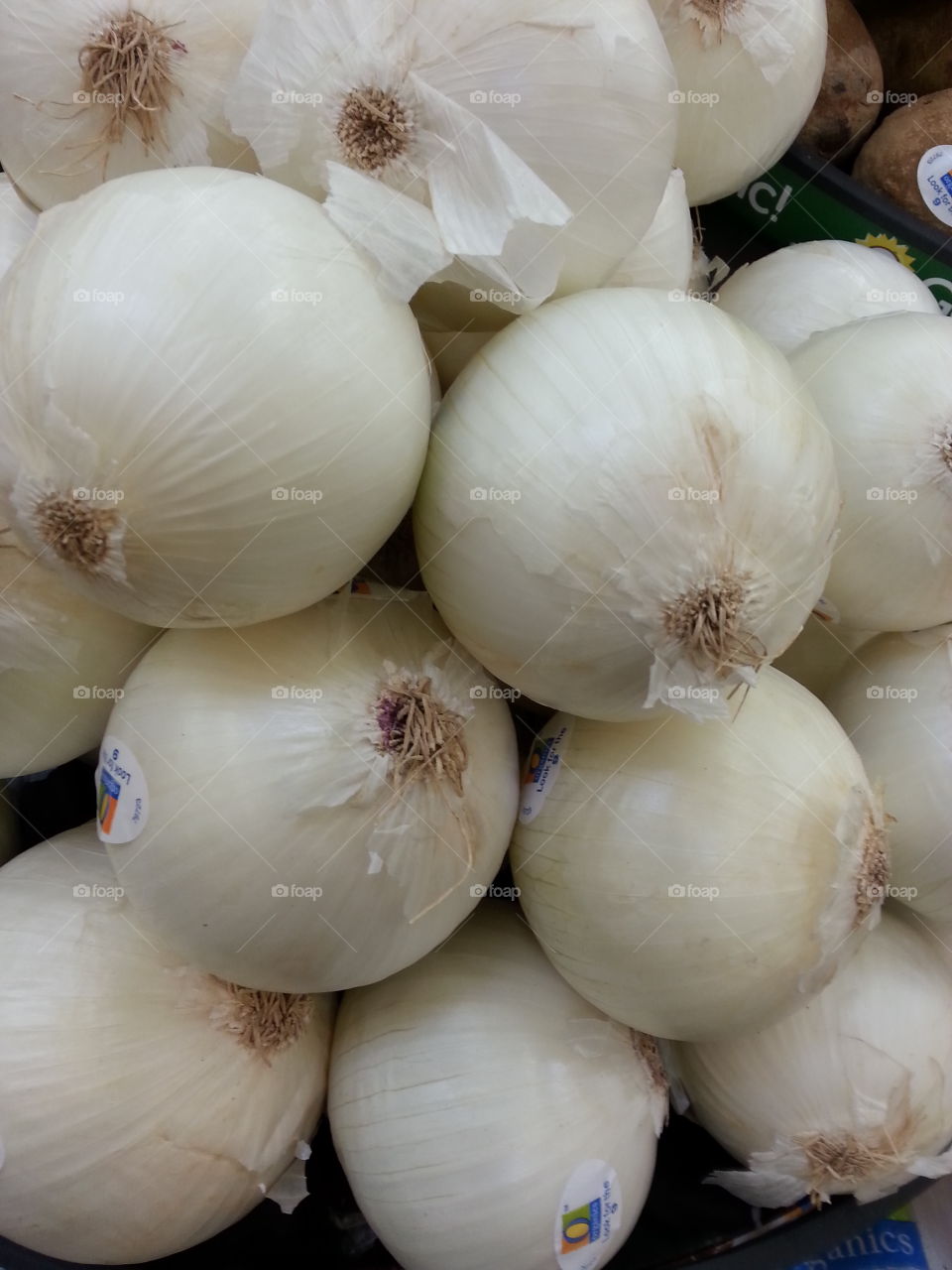 onions. white