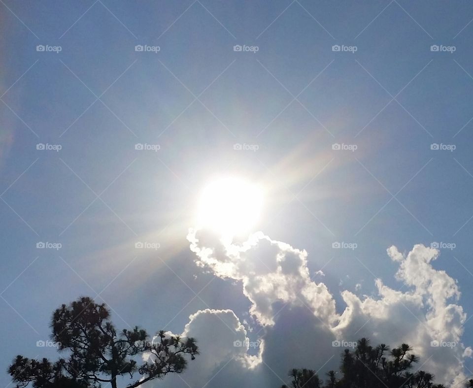 Shining sun. I'll just say I spend way too much time looking up. 