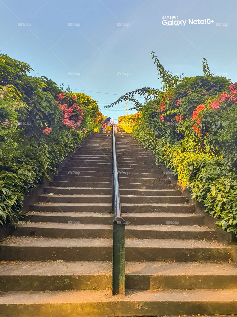 natures stair