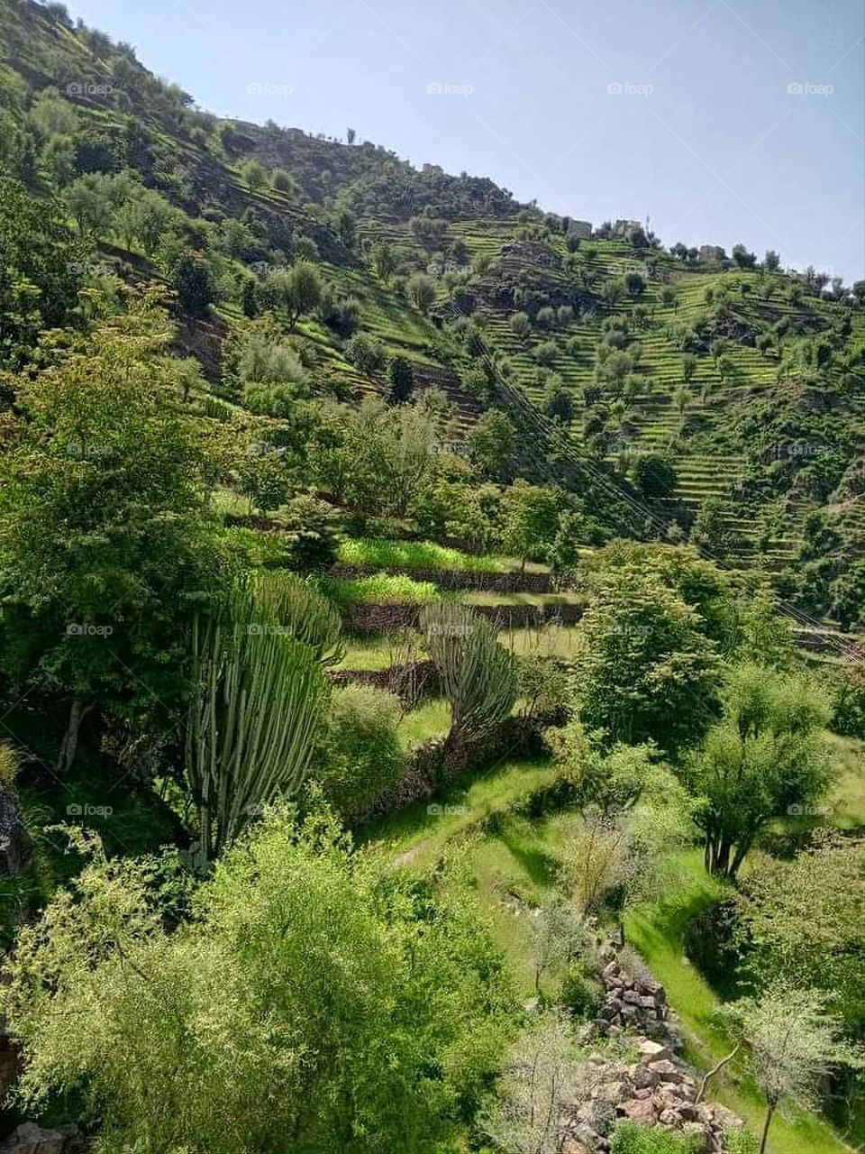 Glory be to God, the magnificent and picturesque view and the natural green trees are a view that is nothing more wonderful than it