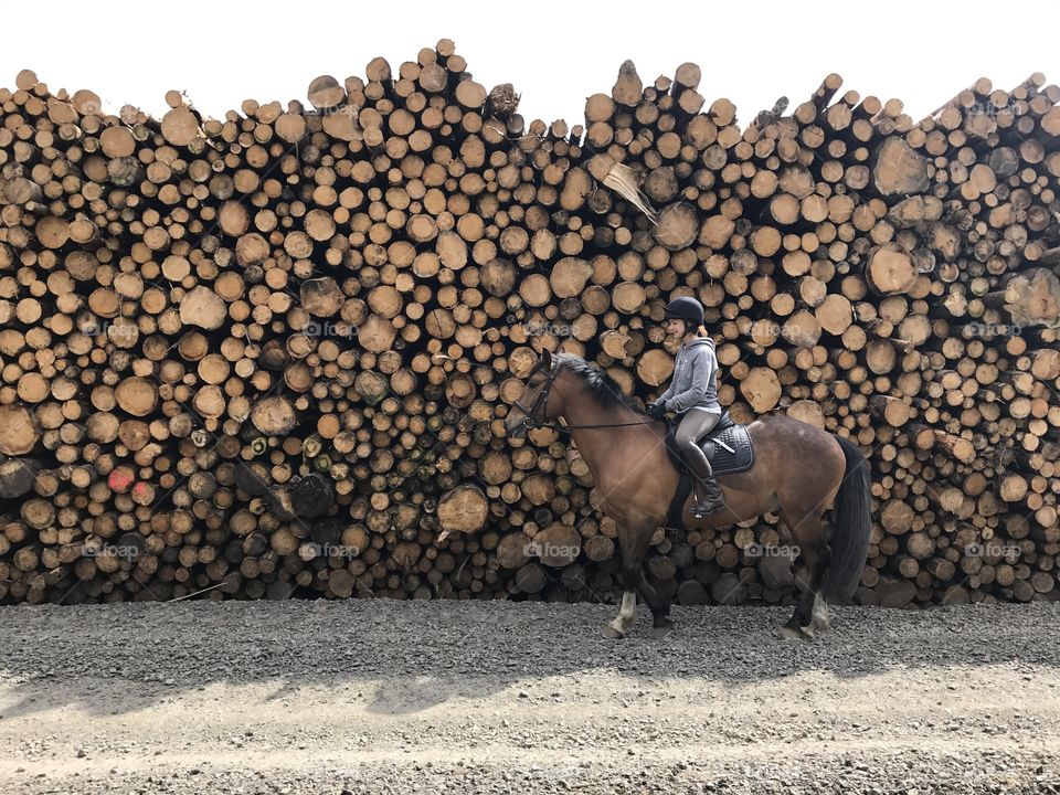 Horse and rider in front of logs. 