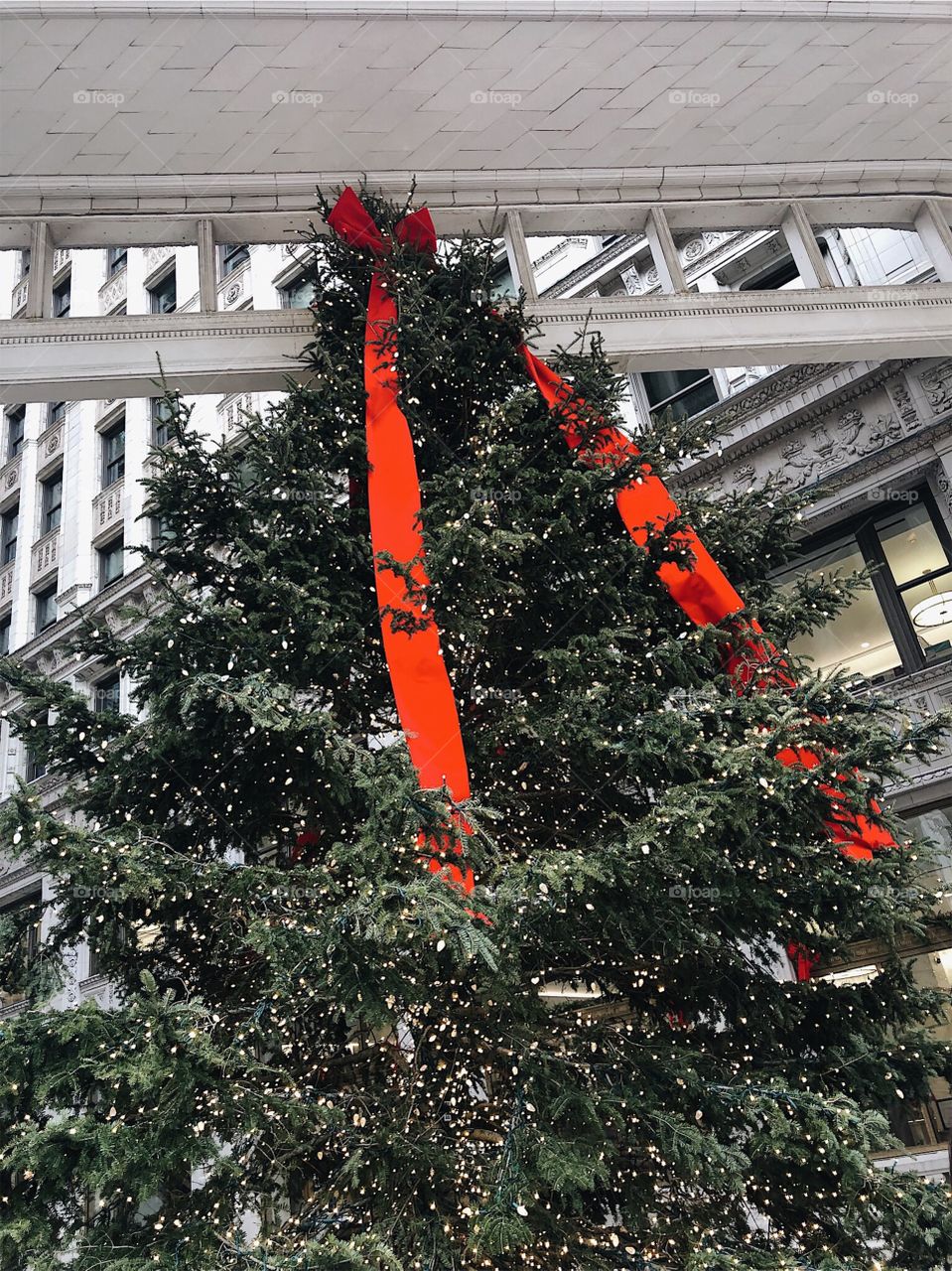 A large Holiday tree in Chicago