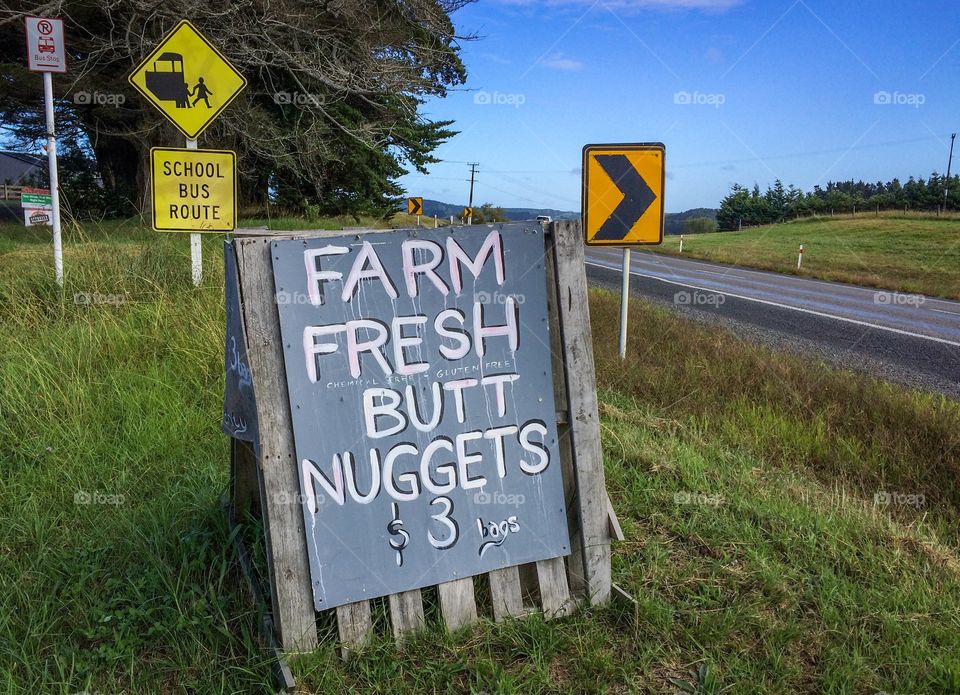 Rural New Zealand - Funny Signs 