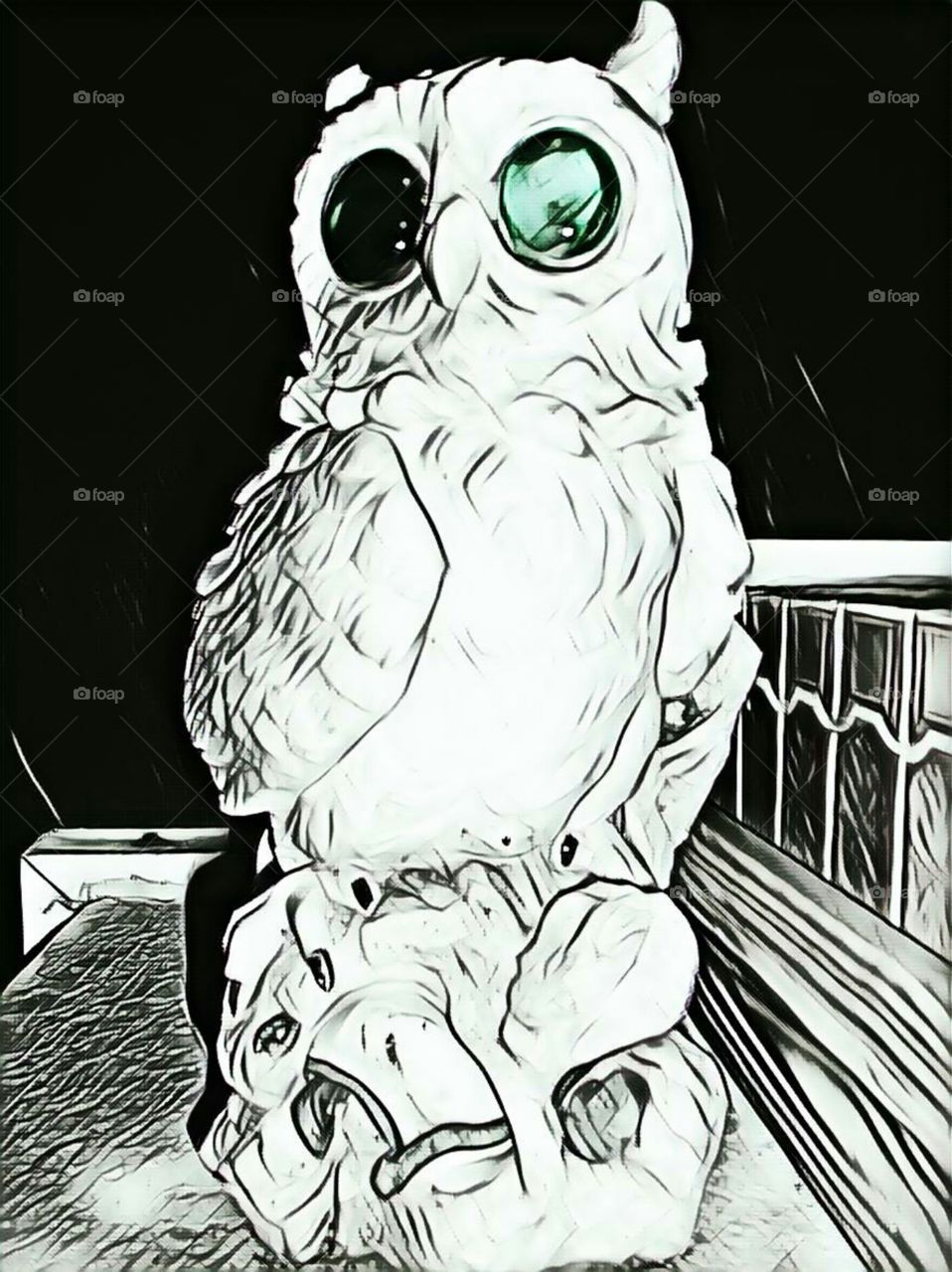 Owls Night