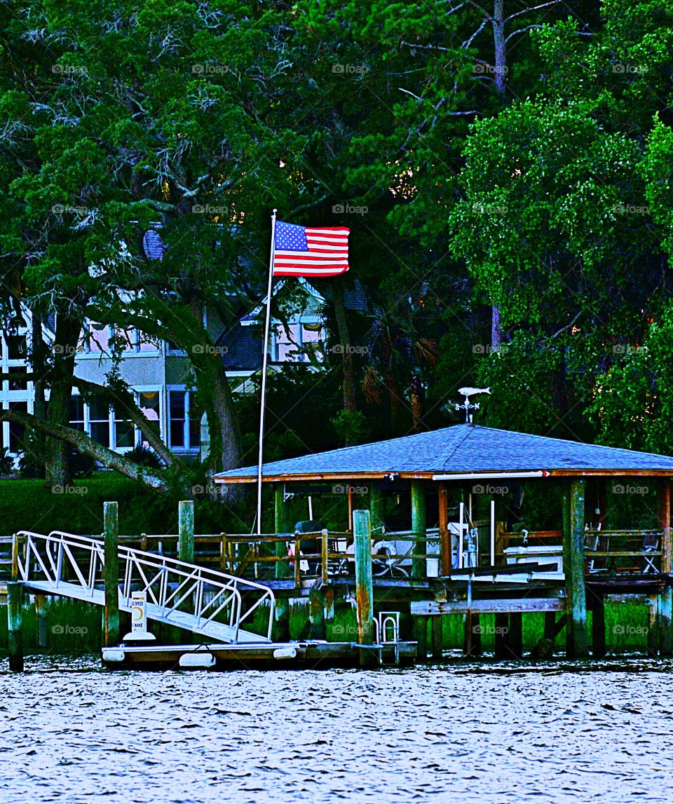 American dock
