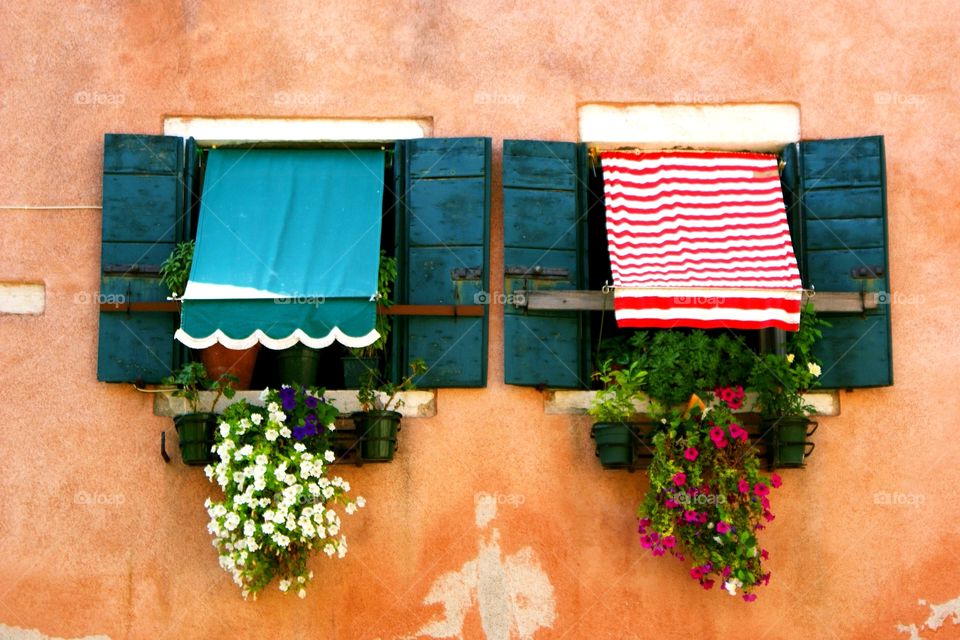 Venezia / Venice windows