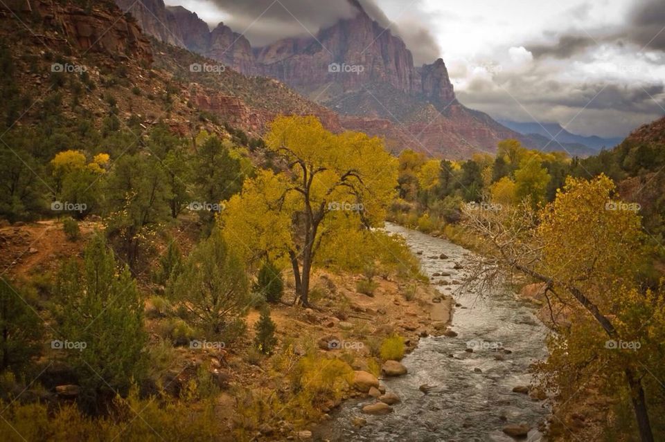 Zion National Park