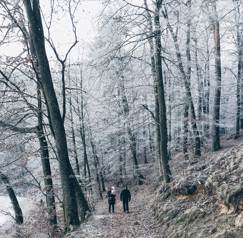 Walk in the frost