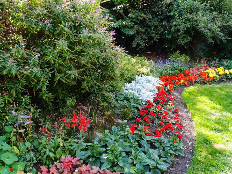Beautiful bright and colorful flowerbeds in an urban park landscaping on a sunny summer day. 