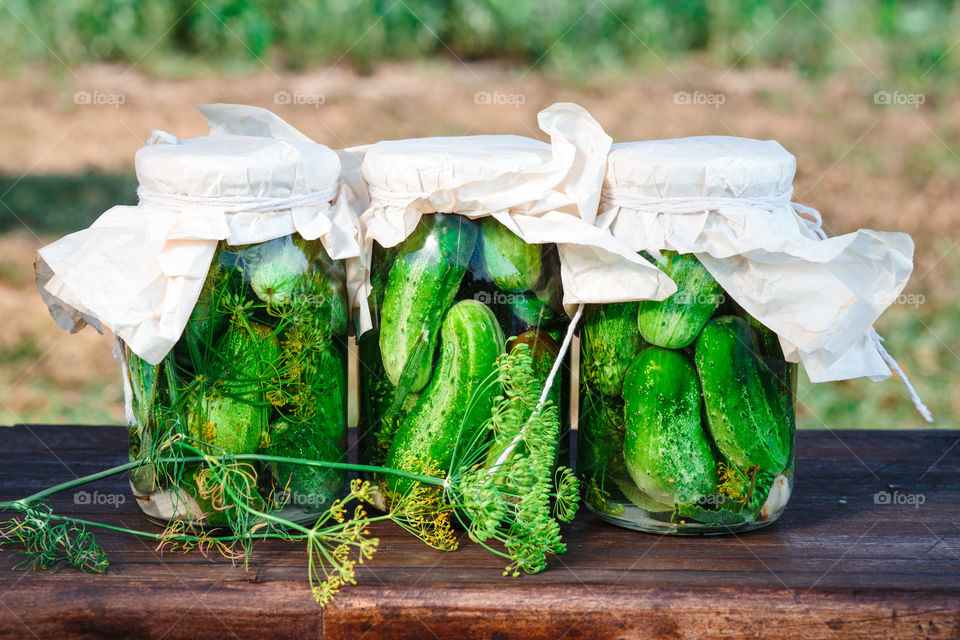 Pickled cucumbers. Pickled cucumbers made with home garden vegetables and herbs