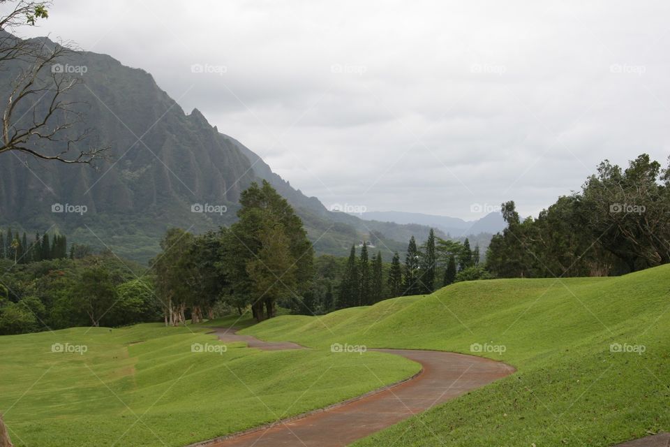 Path to the Mountains. A path on a golf course in Hawaii.