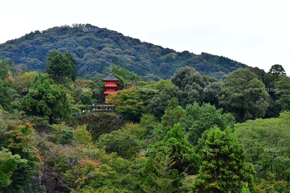 Beautiful Japanese landscapes