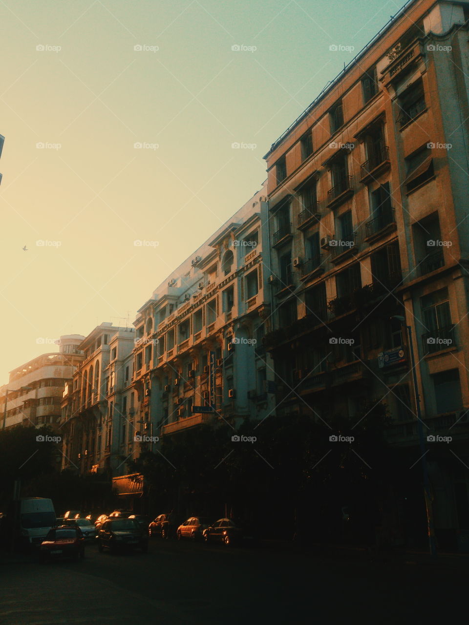 Casablanca street sunset, lights on building and shining cars