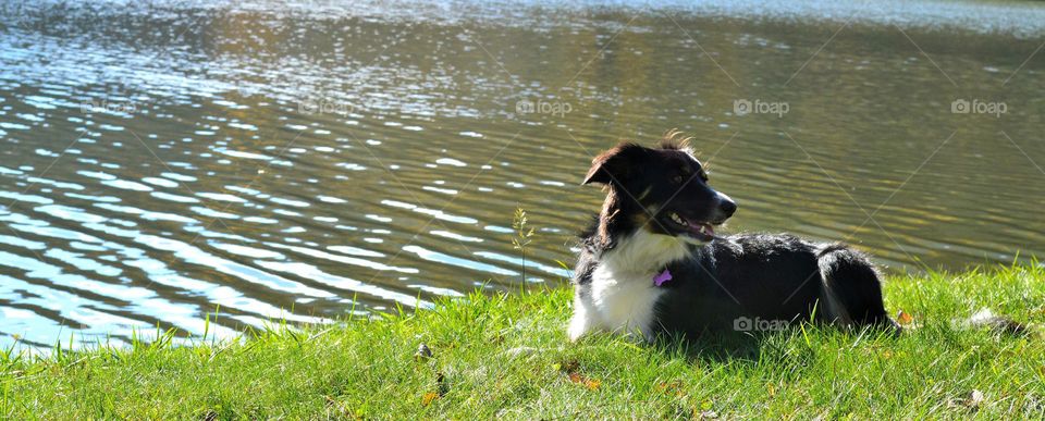 looking by the water