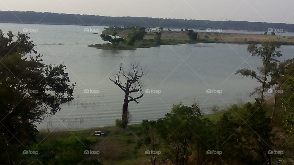 Front Row Flood. A lonely table at the edge of a flood, overlooking the sunken McGregor park.