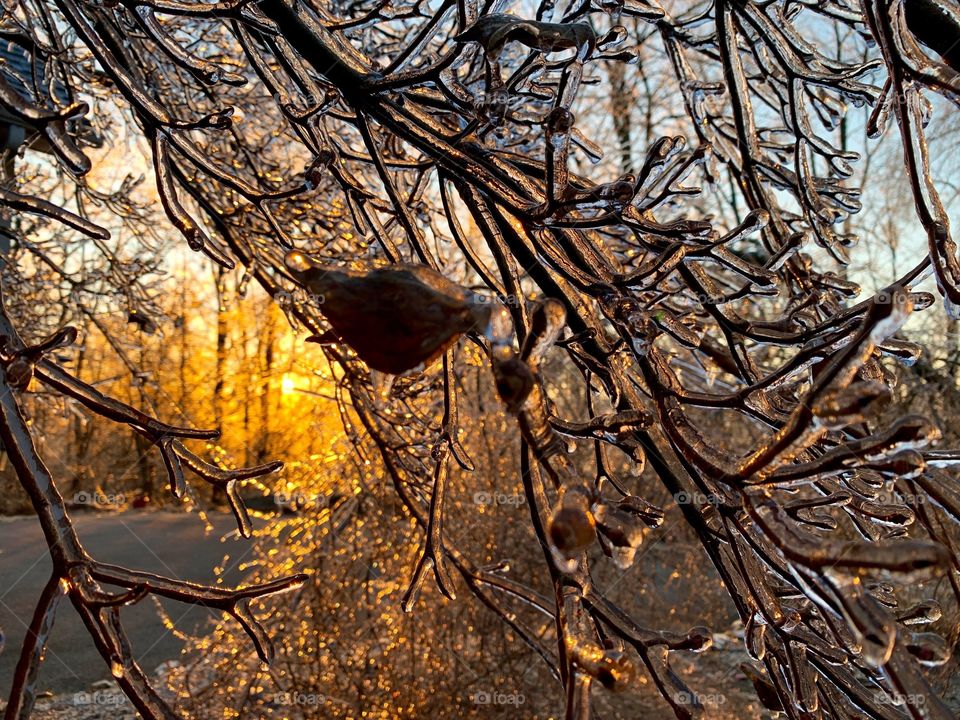 Blinded by the light 